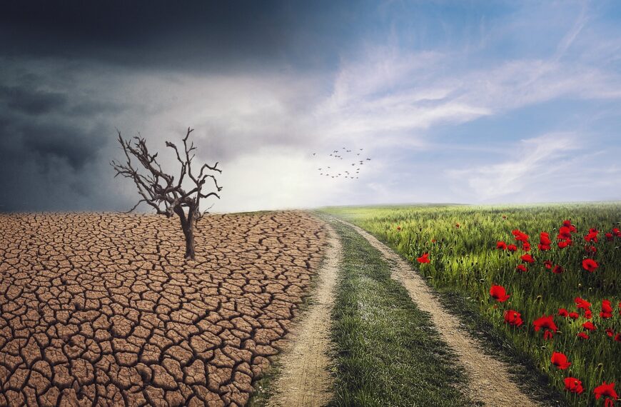 How to Lead Change Without Stressing Everyone Out