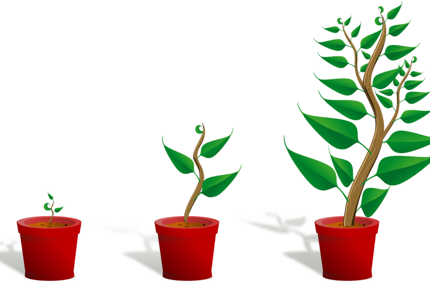 How to Get to the Top: Embrace Discomfort for Growth