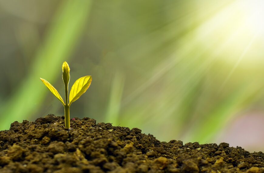 Two Key Factors That Will Determine Your Success